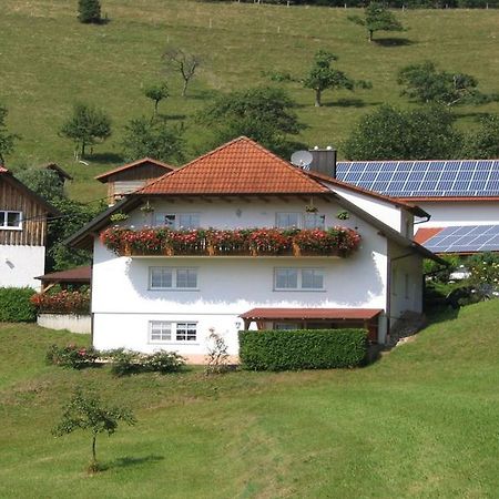 Ferienwohnung Burgblick Seelbach  Exterior foto