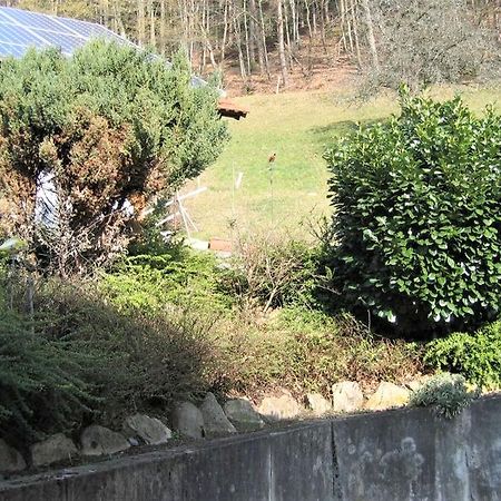 Ferienwohnung Burgblick Seelbach  Exterior foto