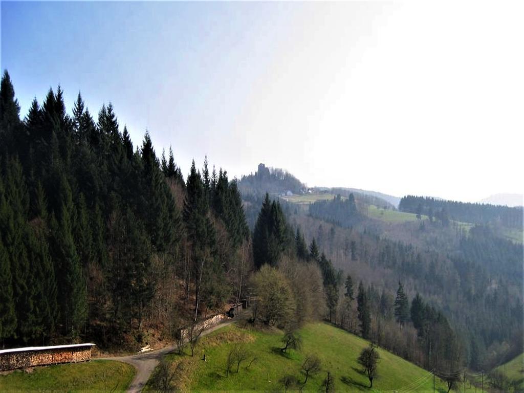 Ferienwohnung Burgblick Seelbach  Exterior foto
